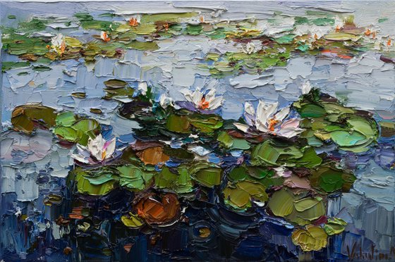 White water Lilies - Original Oil painting