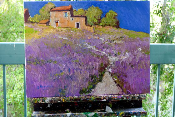 Lavender, Italian Village