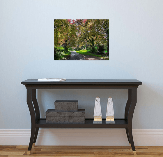 Romantic Country Lane in Springtime