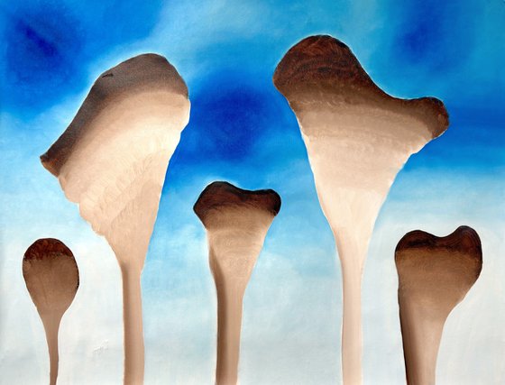 Holy shrooms