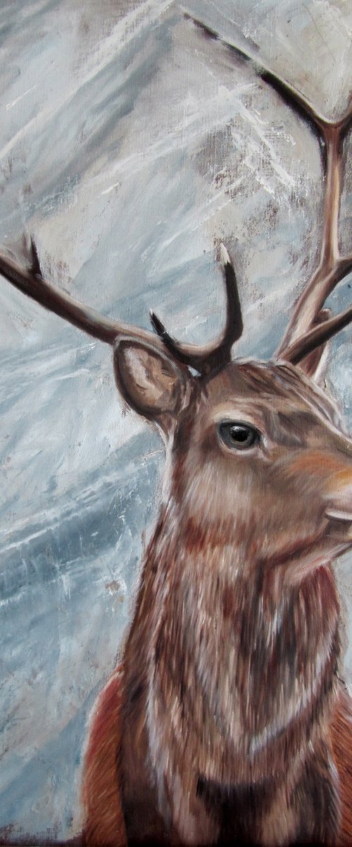 Winter Majesty Deer by Ira Whittaker