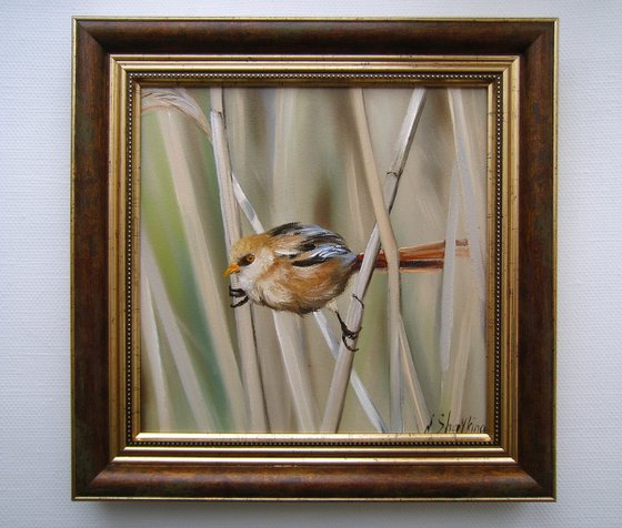 Bird Oil Painting Framed