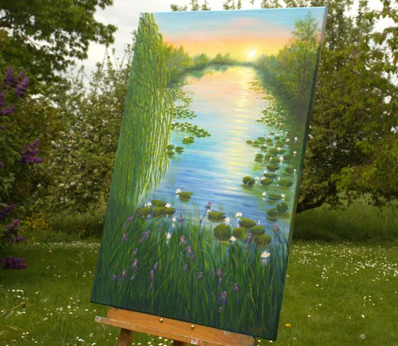 Water lily pond