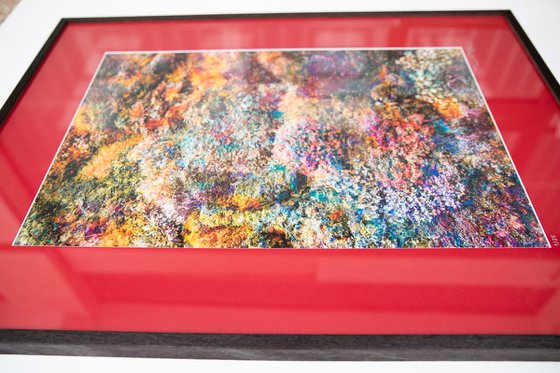 Wall of Nature LVI (Framed)
