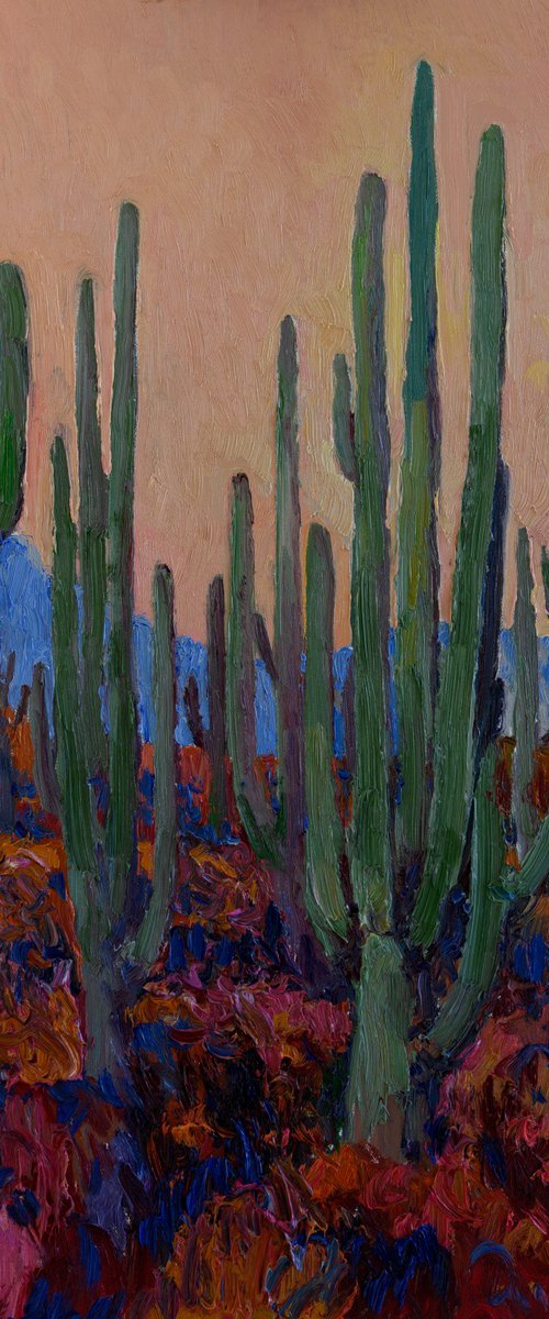 Dusk in the Desert. Saguaros by Suren Nersisyan