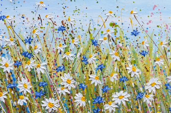 Daisies and Cornflowers II