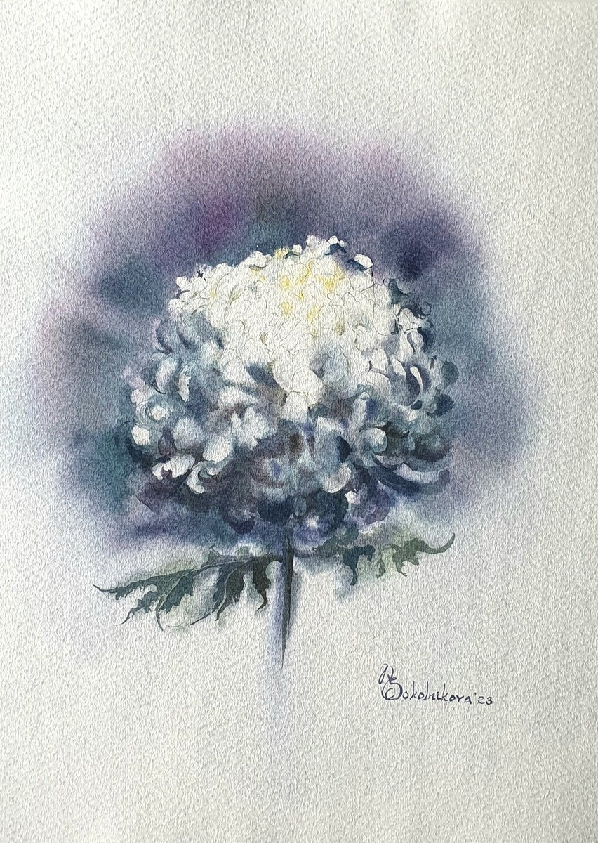 Impressionistic Botanical Watercolour By Sonata Art, 16 X 20", Chrysanthemum White Flower, Original Artwork