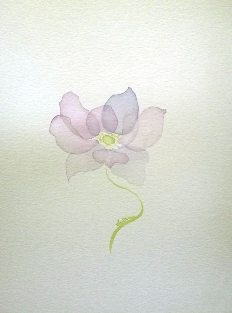 Flower by Anamaria