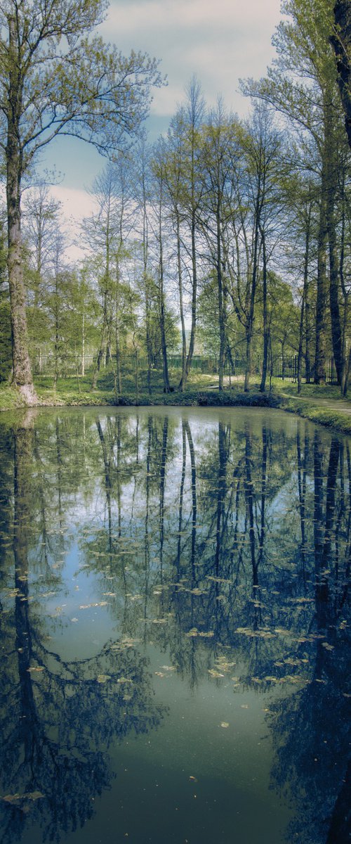 The silence of a spring pond by Vlad Durniev