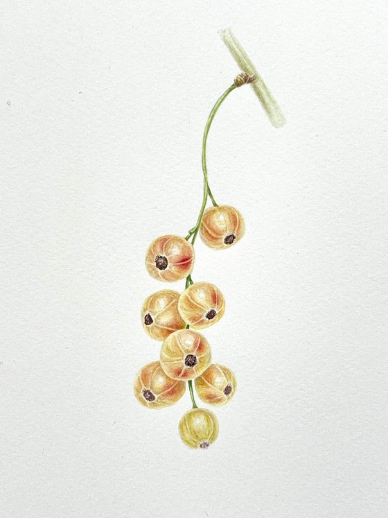 White currants