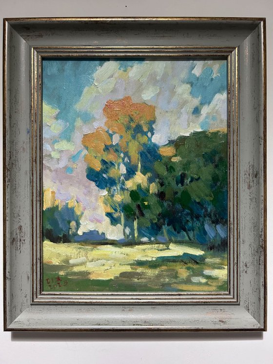 Original Oil Painting Wall Art Signed unframed Hand Made Jixiang Dong Canvas 25cm × 20cm Landscape  Sunshine over South Park Oxford Small Impressionism Impasto