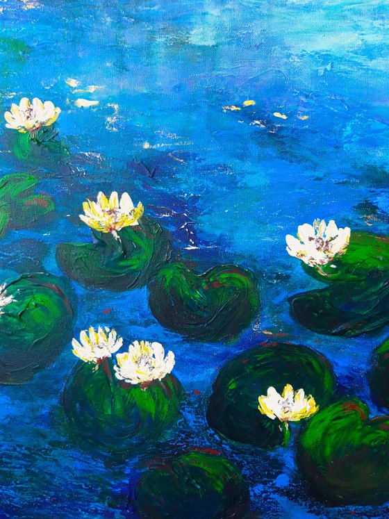 Water lily paradise (2020)