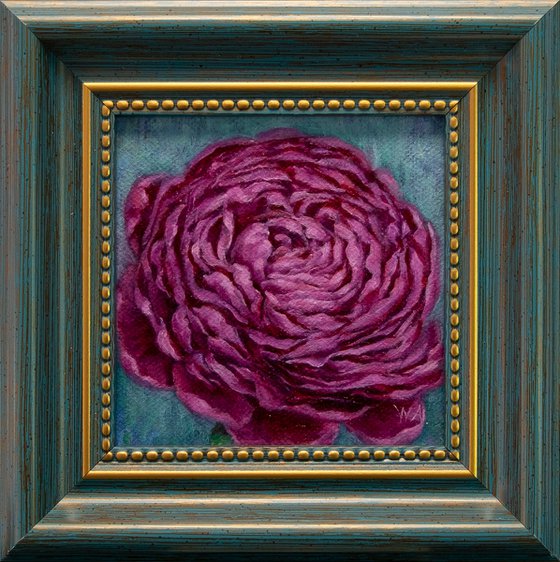 Raspberry Peony