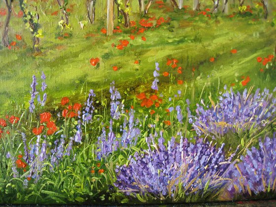 Lavender Field and Vineyard
