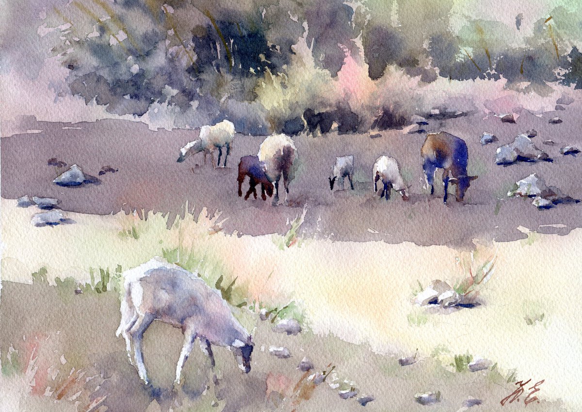 Cretan sheep Watercolor Small version by Yulia Evsyukova