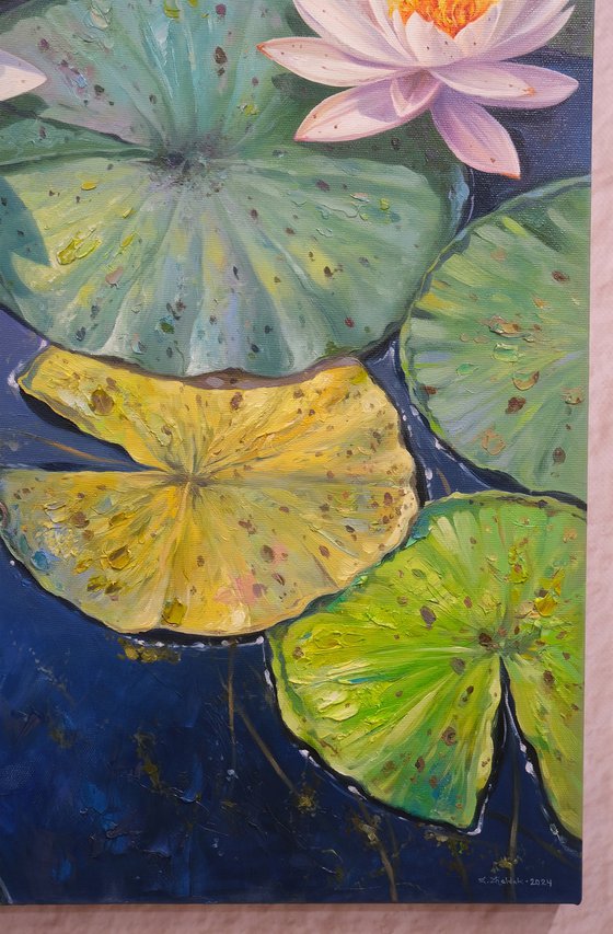 Water Lilies