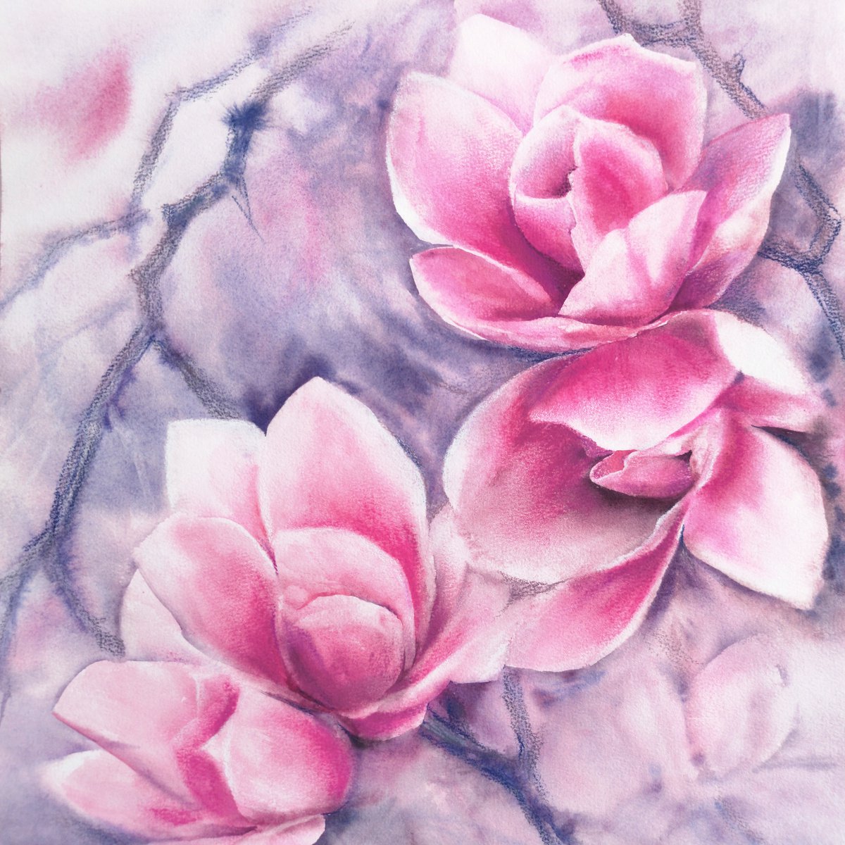 Magnolia blooming, pink flowers watercolor painting by Olga Grigo