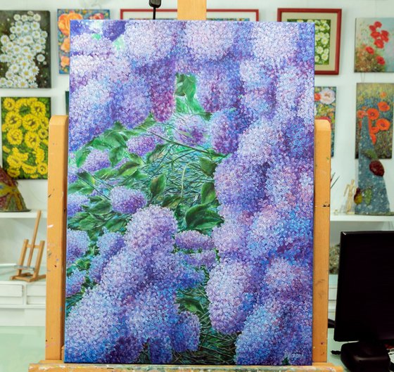 Sea of Lilacs