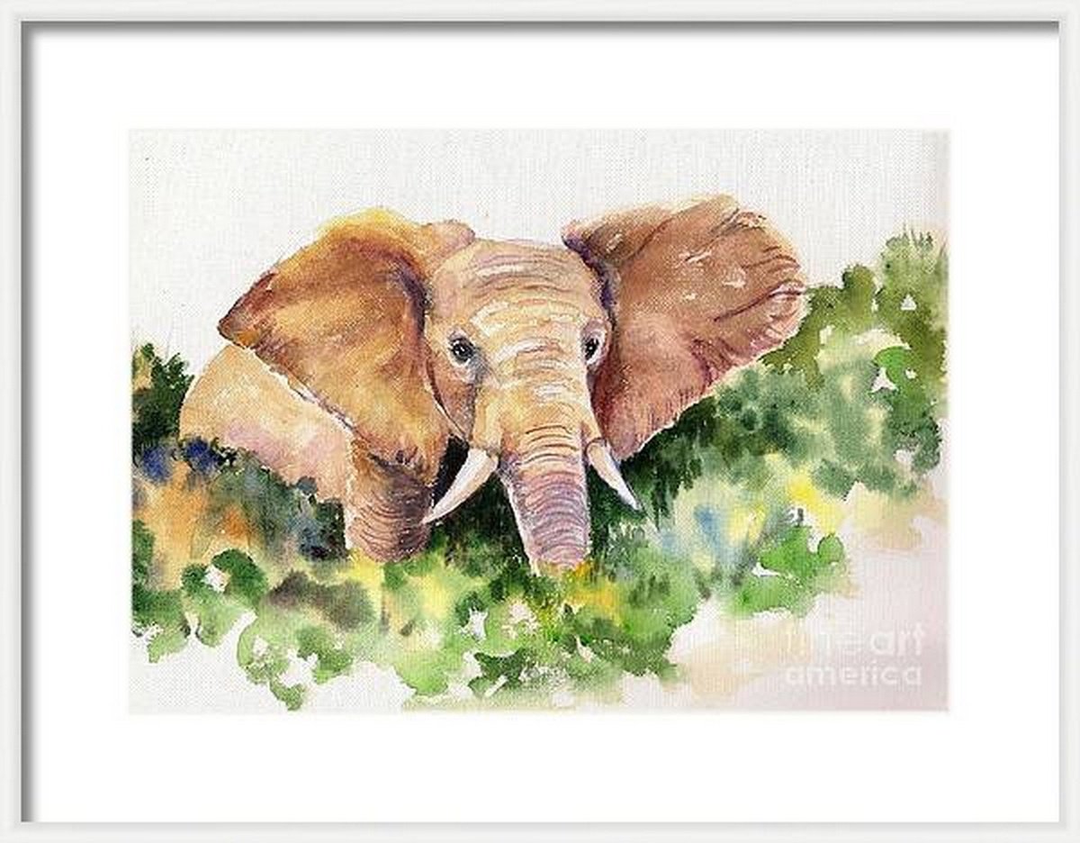 Elephant Watercolor painting - I am the King ! ( 11.75x 8.25) by Asha Shenoy