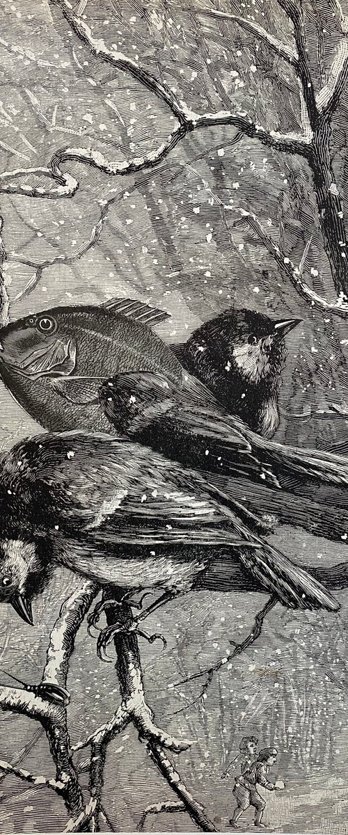 Three Birds by Tudor Evans