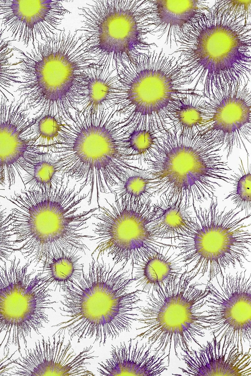 Abstract Acrylic Painting By Sumit Mehndiratta, 33 X 47", Neoflora Series No. 01, Original Artwork