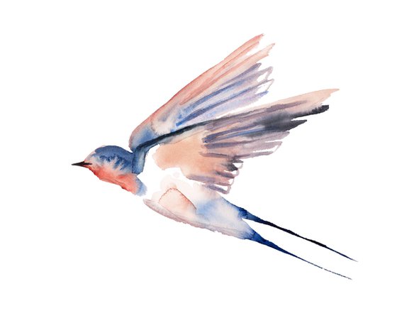 Swallows No. 49