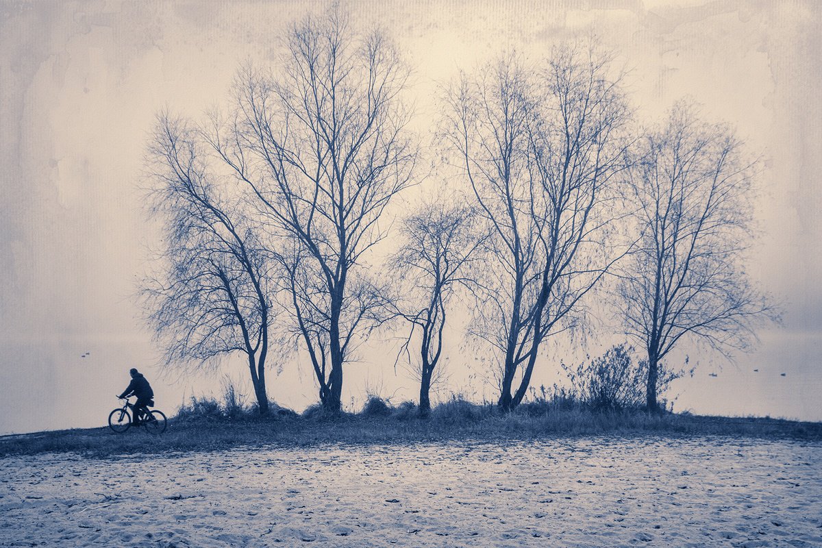 Photorealistic Landscape Photograph By Valerix, 24 X 16", Morning Ride In The Fog., Original Artwork