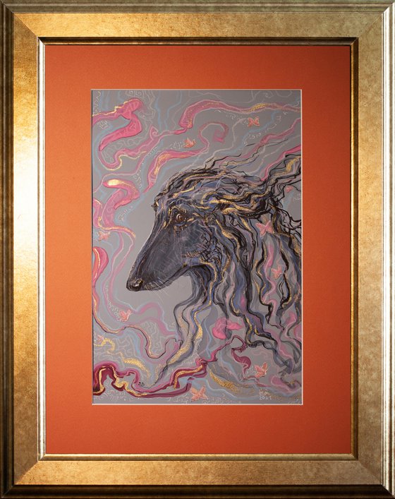 "Afghan hound"