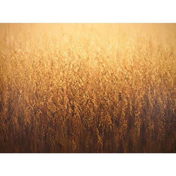 Golden Summer Field