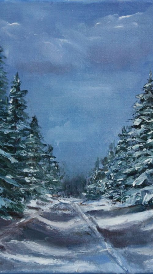 Winter path by Vita Schagen