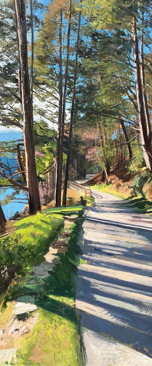 Spinc Trail by Andrew Newton