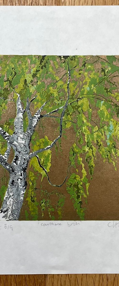 Birch Tree Linocut Print by C Staunton