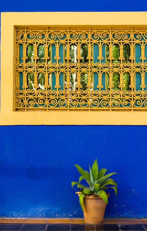 Jardin Majorelle, Marrakech I by Tom Hanslien