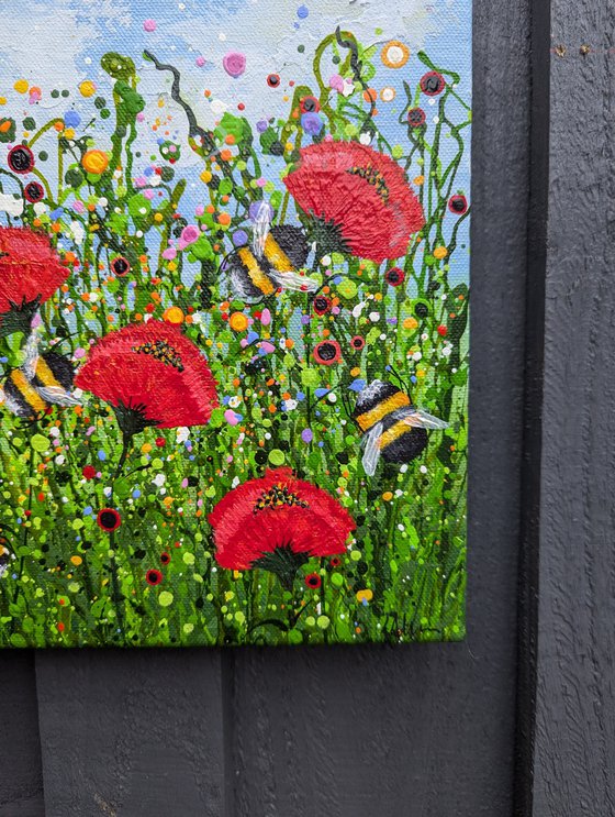 Poppy Meadow Delight #3