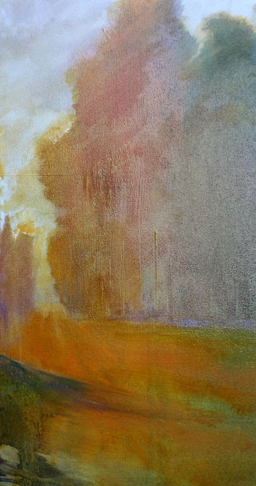 Forrest Dawn by Simon Jones