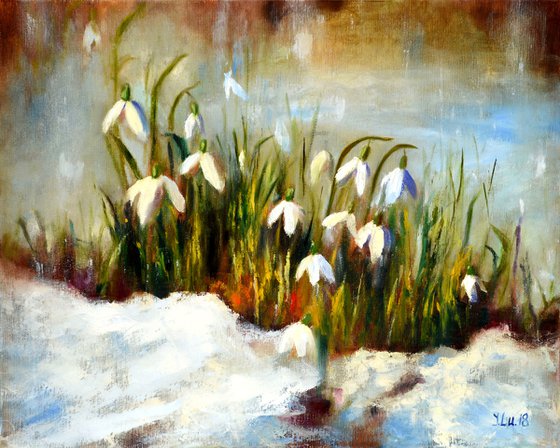 Snowdrops