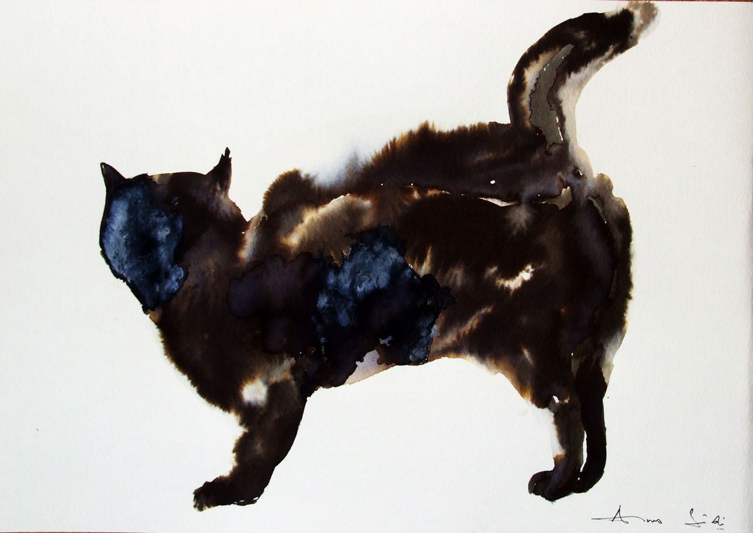 My Big Fat Cat Watercolour By Anna Sidi Yacoub Artfinder