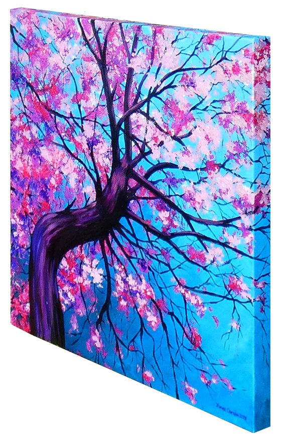 Cherry Blossom Tree