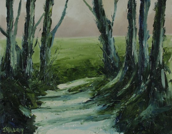 Through the woods, Irish Landscape