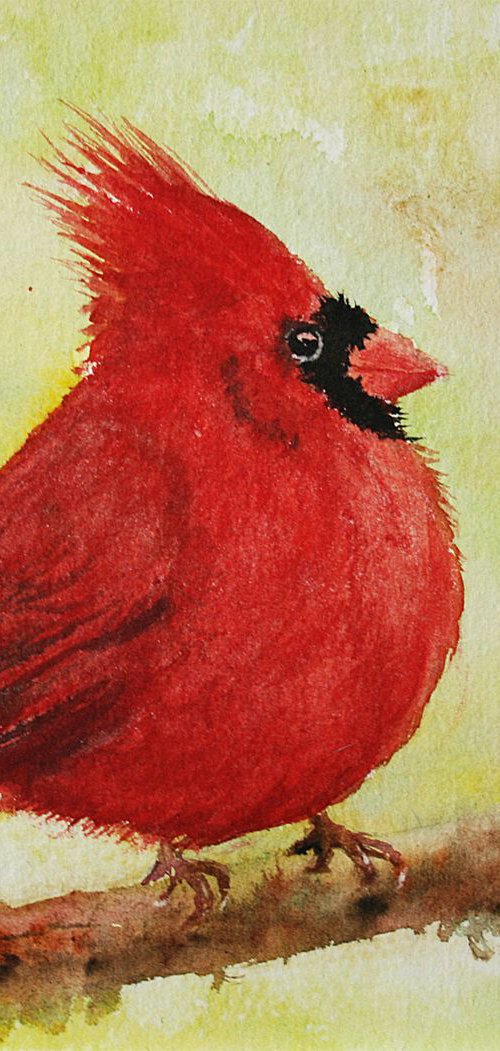 Cardinal by Salana Art Gallery