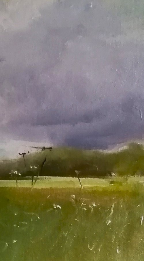 Clouds over Strawberry Hill by Rosemary Burn