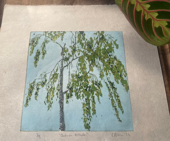 Birch Tree Linocut Print