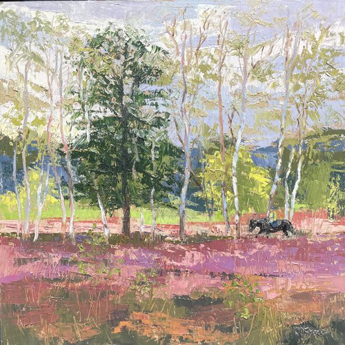 Horsell End of Summer Heather by Hannah  Bruce