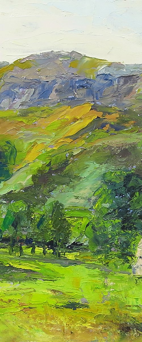 Bathed In Afternoon Sunlight by Philippa Headley