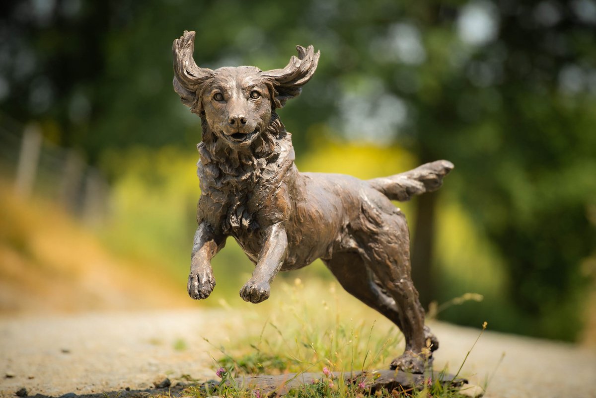 Running Working Spaniel BR by Tanya Russell