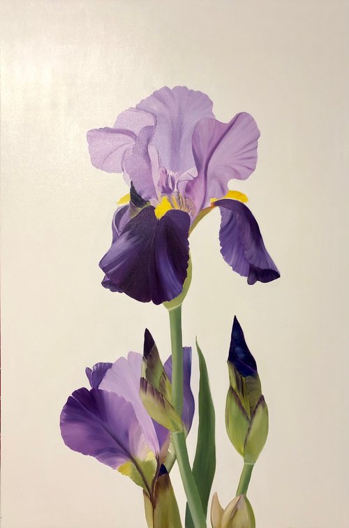 From the Series Iris flowers, Ritter-Schwertlilie by Nataliia Krykun