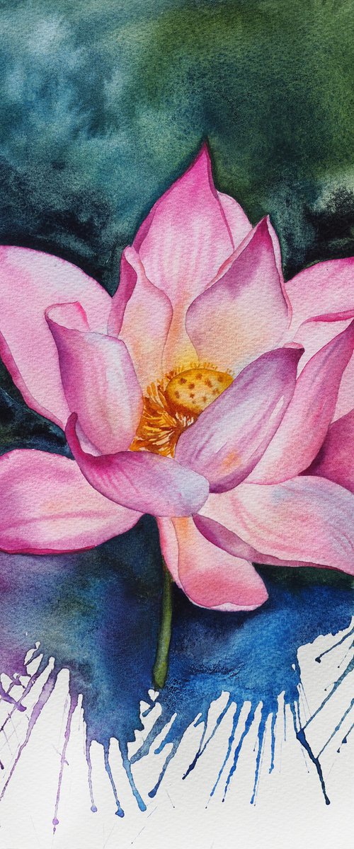Expressive lotus by Delnara El