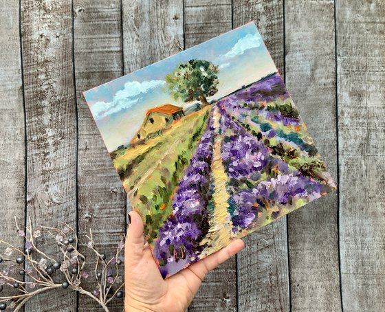 Italy Lavender Fields