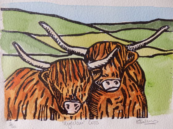 Pair Of Highland Coos