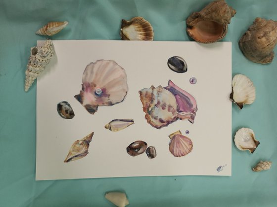 Seafood.